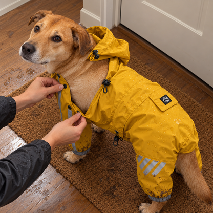 4-Leg Dog Raincoat with Hood